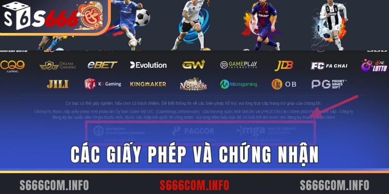 bảo chứng về giấy phép và chứng nhận