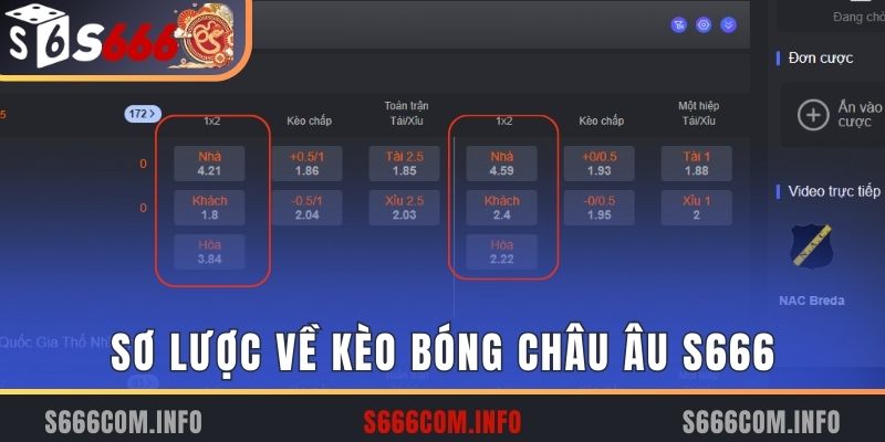 Sơ lược về kèo bóng châu Âu S666